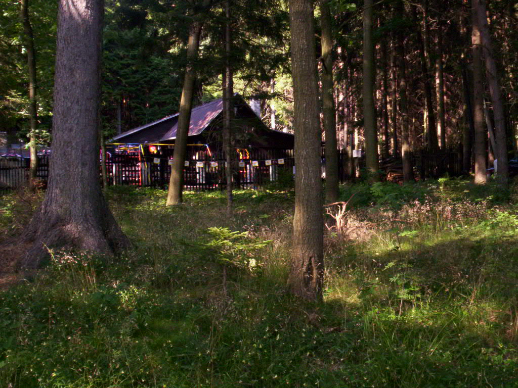 100_2036.jpg